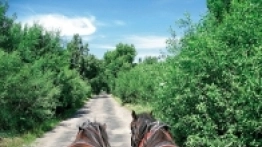 Koniec może i nie wymagają tankowania, ale podczas podróży trzeba o nie dobrze dbać. - zdjęcie 3